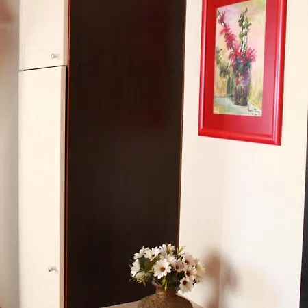 2 Kitarat Bb Vlorë
