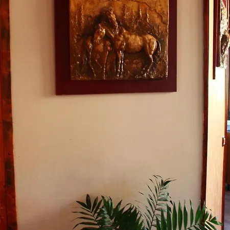 2 Kitarat Bb 3* Vlorë